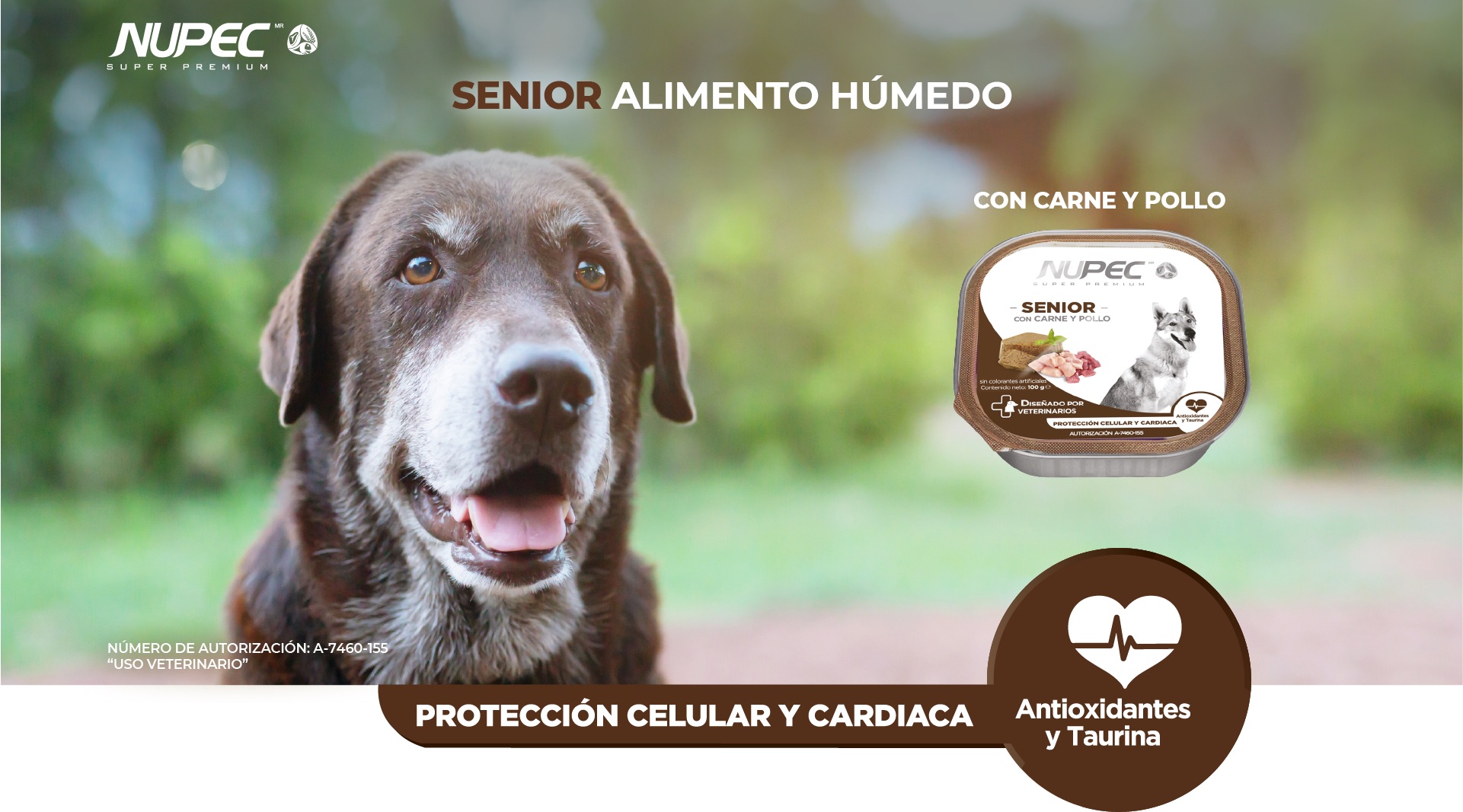 Croquetas para perros senior