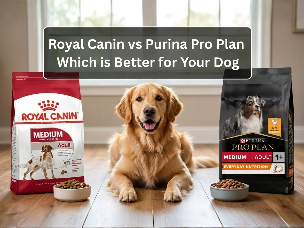 Royal Canin vs Purina Pro Plan