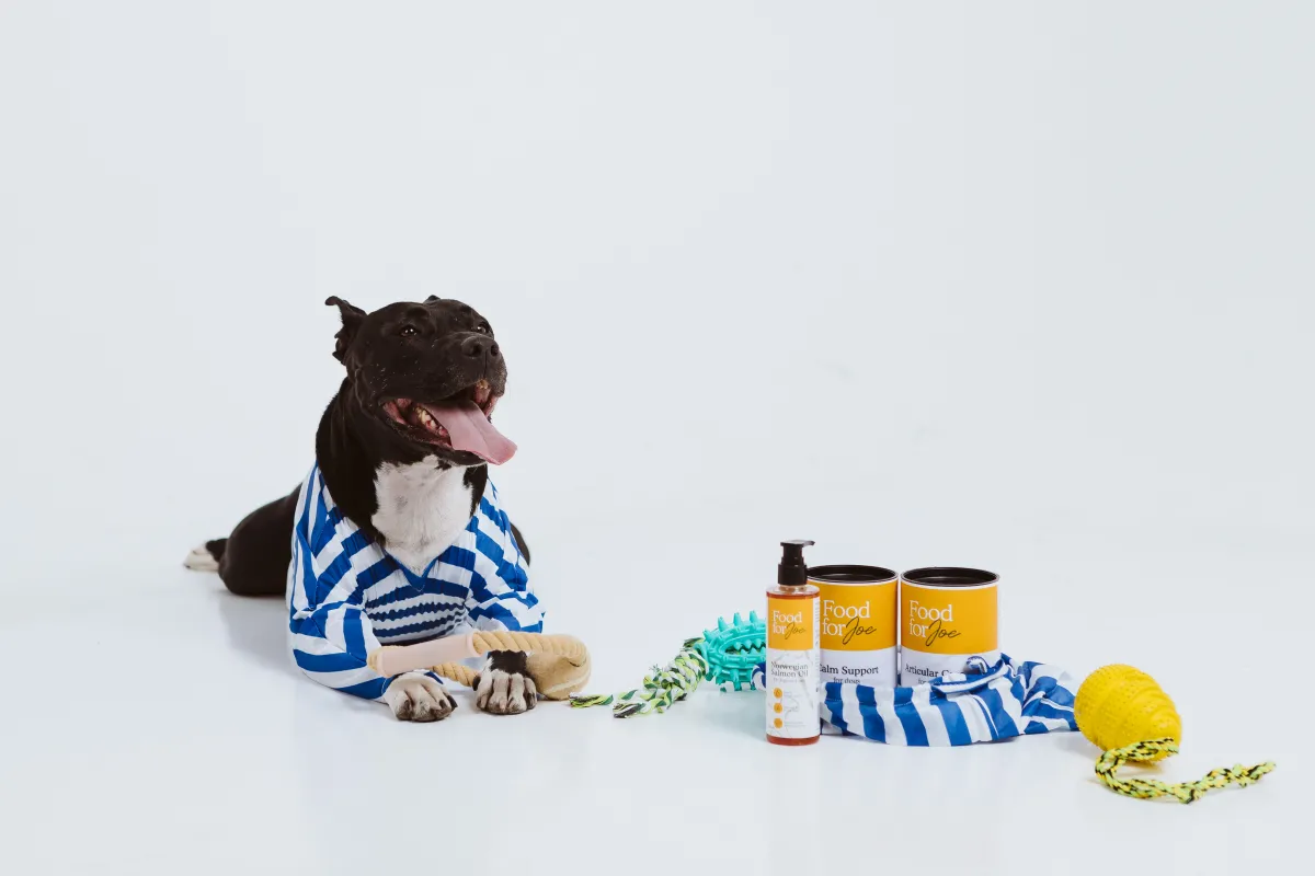 Suplementos para perros